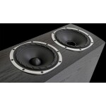 Fyne Audio F501 boxe hi-end floorstand