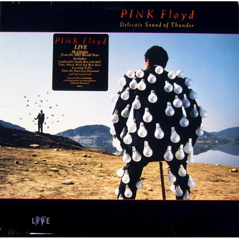 PINK FLOYD DELICATE SOUND OF THUNDER