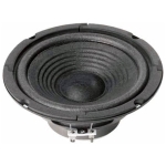 Visaton W170 8 ohm Difuzor 6 Toli