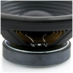 Master Audio difuzor 220w 10 toli