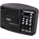 monitor activ scena Soundking PSM05R