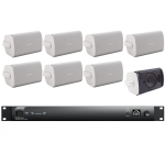 Sistem audio hi-fi profesional 8x Bose FS4SE Veritas Bundle