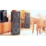 Tonsil Voyager 350 set boxe 10 inch 180W RMS
