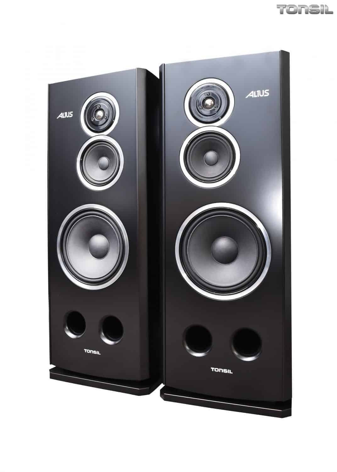 Tonsil Altus 380 boxe hi-end 12 inch Tonsil Altus 380 boxe hi-end 12 inch