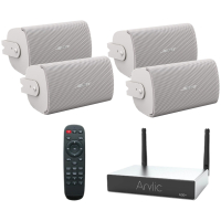 Bose Cafe Sound System 4.1