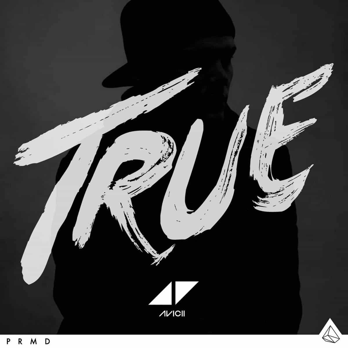 AVICII-TRUE Disc vinil avicii true