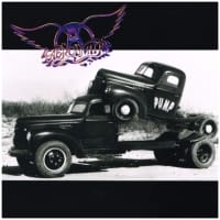 AEROSMITH - PUMP - 2016 180G S