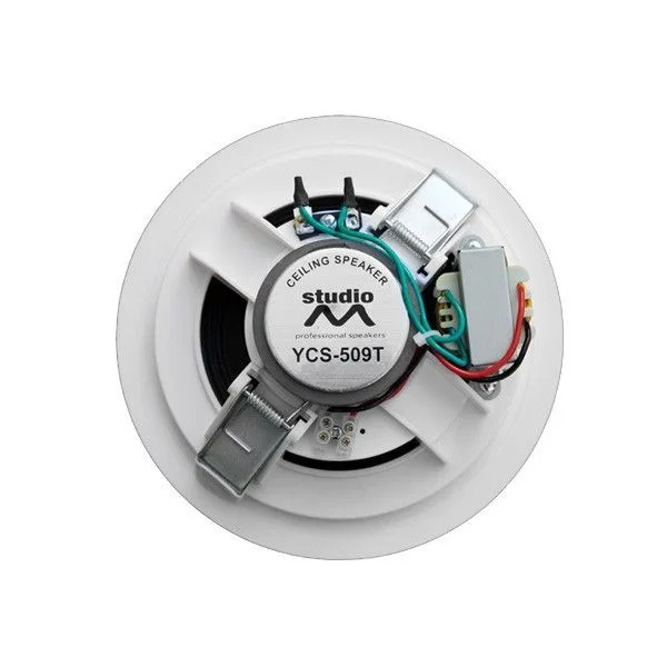 Ambient-3 USB-FM-2Z Ceiling System