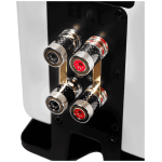 ELAC Carina BS 243.4 - imagine 10