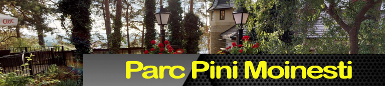 Sonorizare parc pini moinesti