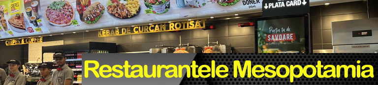 sonorizare restaurante mesopotamia