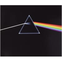 Disc vinil PINK FLOYD The dark side
