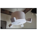 Bose Freespace 3 Pendant, sistem boxe suspendate - imagine 8