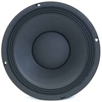 Difuzor 10 inch neodymium Master Audio NST10