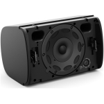 Bose Professional Designmax DM6SE