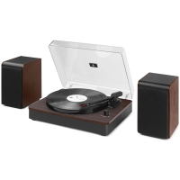 Sistem pick-up cu boxe Audizio RP330D