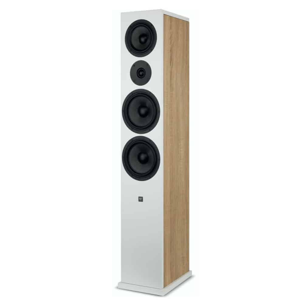 Wilson-seven Wilson seven