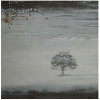 Disc Vinil Genesis – Wind & Wuthering