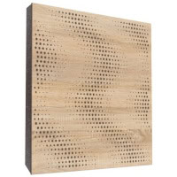 Mega Acoustic FoamPRO 60 Sinus Fala