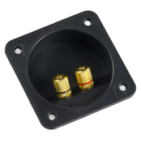 Terminal boxe banana