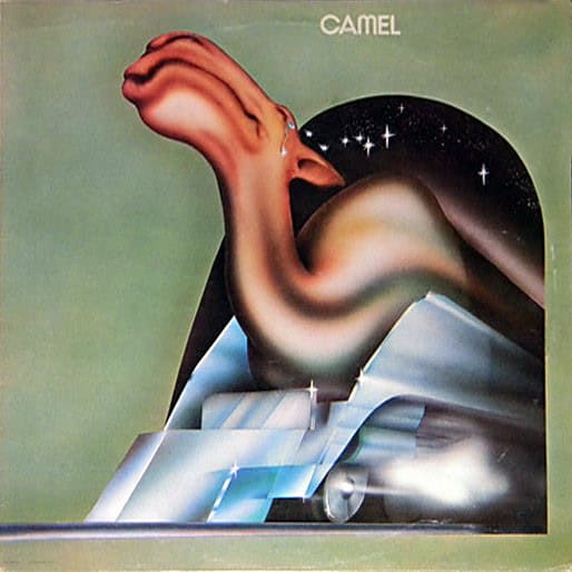 R-2328664-1521637611-2110 Camel – Camel