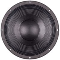 Difuzor 12 inch B&C 12PS100