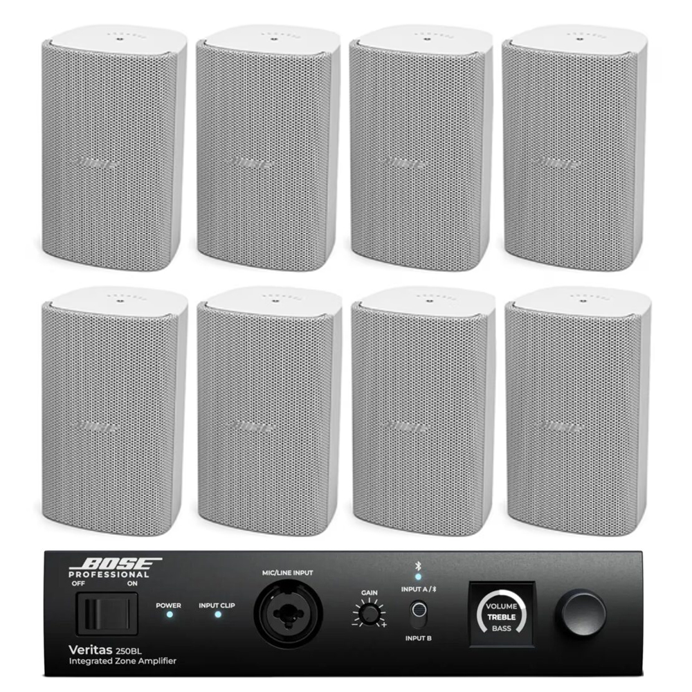 sistem-sonorizare-ambientala-bose-alby Sistem sonorizare ambientala Bose FS2SE-Veritas250