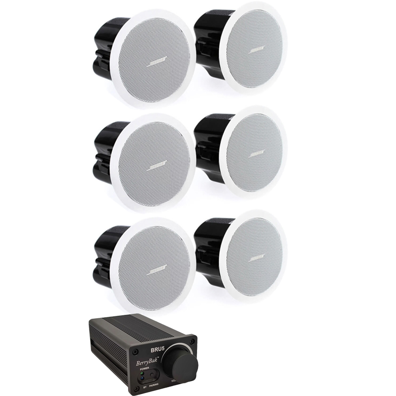sistem-ambiental-restaurant-bose Sistem audio ambiental restaurant Bose FS2C-BRU5 Bundle-6