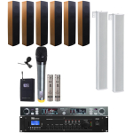 Sistem sunet Biserica PRO-2 Designer cu microfon wireless