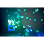 Masina baloane cu fum profesionala LED QTX QTFX-LBF2 4