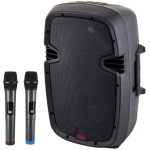 Boxă audio portabilă cu acumulator, bluetooth, 2 microfoane wireless, 10 inch, 2110ADM-CB Alien