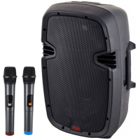 Boxă audio portabilă cu acumulator, bluetooth, 2 microfoane wireless, 10 inch, 2110ADM-CB Alien